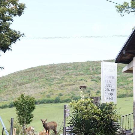 Mountain Home Lodge In Deer Park Нара Екстер'єр фото