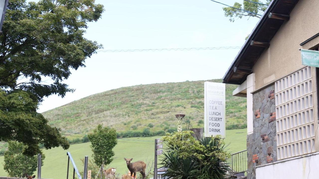 Mountain Home Lodge In Deer Park Нара Екстер'єр фото